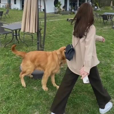 情杀三重奏